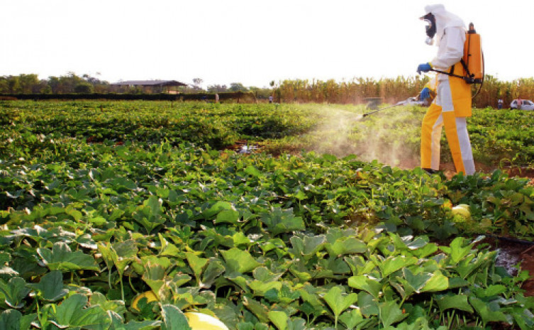 Aplicação de agrotóxicos tem novas regras para assegurar ainda mais a saúde humana e a preservação do meio ambiente 
