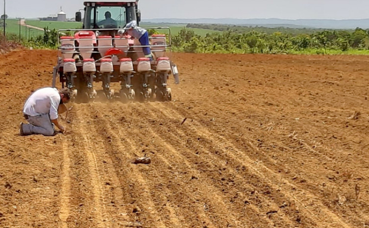 Terra sendo preparada para plantio