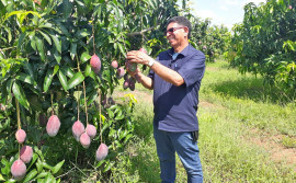 Governo do Tocantins apresenta balanço da extensão rural em 2020