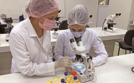 Desenvolvimento científico é uma realidade no Tocantins