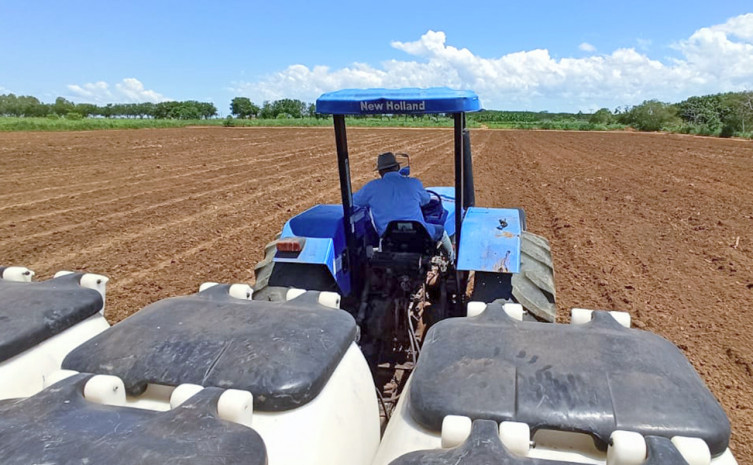 Ruraltins e parceiros implantam unidade demonstrativa com tecnologia de plantio consorciado para conservação e recuperação de pastagem