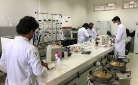 Governo destaca o papel das universidades para o desenvolvimento do Tocantins