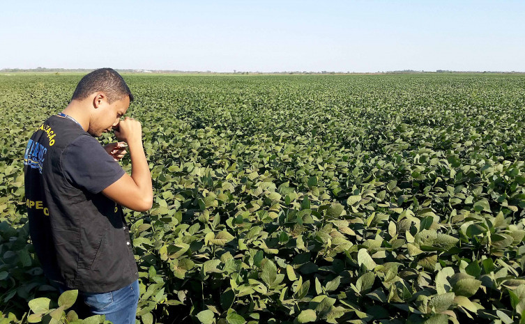 Sojicultores terão até 2 de fevereiro para realizarem o cadastro obrigatório das áreas produtoras de soja 