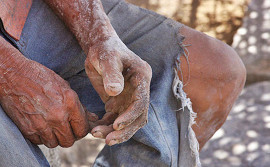 Cidadania e Justiça reforça luta pela erradicação do trabalho escravo no Tocantins 