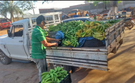 Produtores e entidades têm até 12 de fevereiro para realizar cadastro no Programa de Aquisição de Alimentos