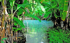Ecoturismo no Tocantins abre as portas para o Carnaval sem folia