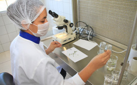 Governo do Tocantins incentiva participação no Edital Mulheres Inovadoras