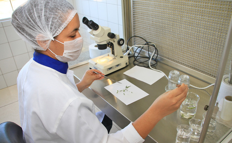 Cientistas tocantinenses são convidadas a participar do Edital Mulheres Inovadoras da Finep  Nonato Silva