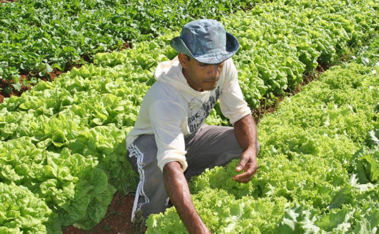 Previsão é beneficiar cerca de 6 mil pequenos agricultores em todo Estado com ações do PAA 