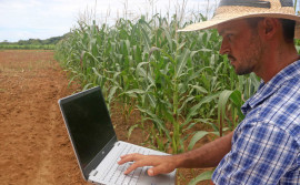 Governo do Tocantins e UFT realizam seminário virtual Agro Innovation 2021, tecnologia de precisão no campo