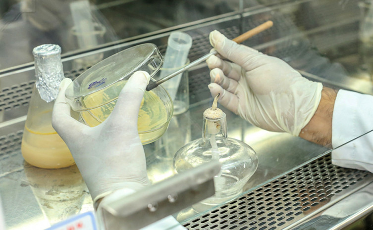 A participação de pesquisadores no edital contribuirá com o desenvolvimento científico do Tocantins 