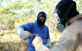 Após registro de três focos de raiva em herbívoros, Adapec recomenda vacinação nas regiões afetadas