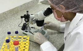 Cientistas tocantinenses falam sobre o papel da ciência no combate à pandemia