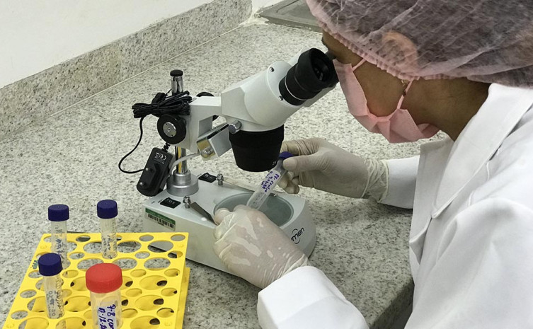 Ciência, tecnologia e inovação é o motor que rege o enfrentamento da pandemia