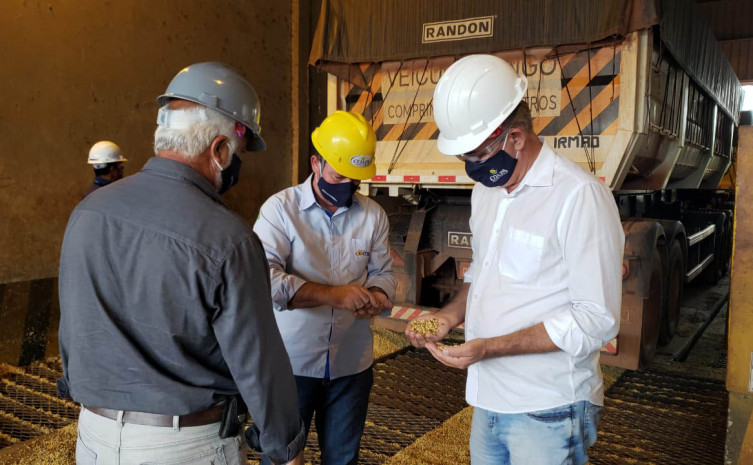Secretário Jaime Café em visita a lavoura no município de Pedro Afonso