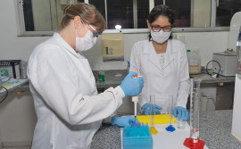 Governo do Tocantins apoia pesquisadores na realização de seminário on-line, para apresentação de projetos científicos desenvolvidos no Estado