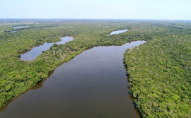 Meio Ambiente troca experiências sobre concessão de unidades de conservação