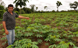 Produtores rurais têm até 30 de setembro de 2021 para aderir à renegociação de dívidas com a União