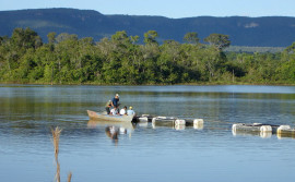 Governo do Tocantins reforça incentivo ao uso da energia tarifária para produtores da aquicultura e irrigação