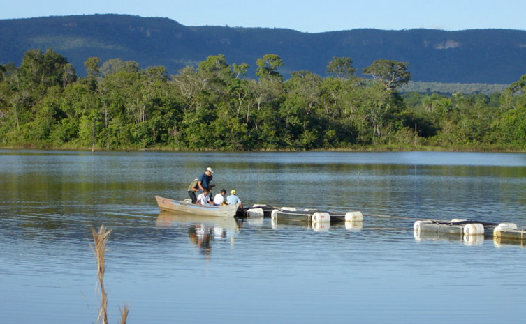 A produção de peixe em tanque rede pode ser beneficiada com a tarifa