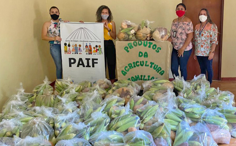 No total 544 agricultores familiares de 76 municípios tocantinenses venderam seus produtos ao programa