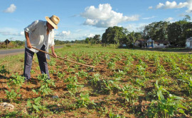 Governo do Tocantins assina termo de cooperação para o fortalecimento da agricultura familiar na Capital nesta segunda, 19
