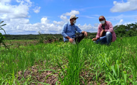 Ruraltins - 32 anos de assistência técnica e extensão rural ao agricultor do Tocantins