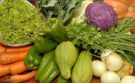 Governo do Tocantins debate a importância da rastreabilidade de hortifrútis no Estado