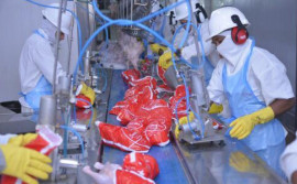 No dia do trabalhador, Tocantins lidera o ranking de geração de novos empregos entre os estados da região Norte