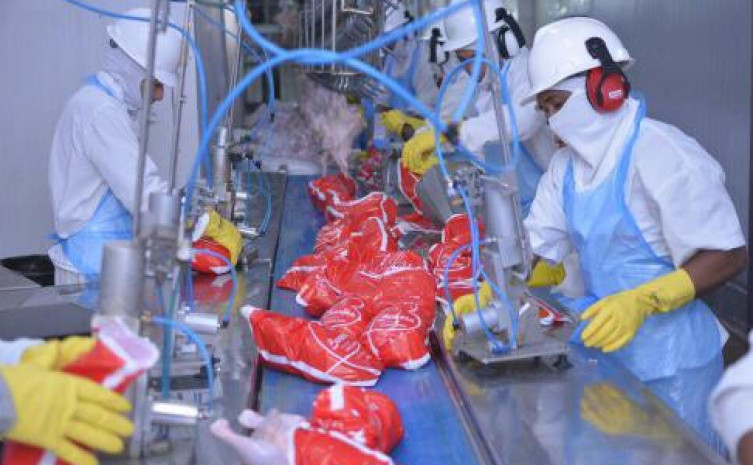 Setores econômicos com os melhores desempenhos foram a agropecuária e a indústria