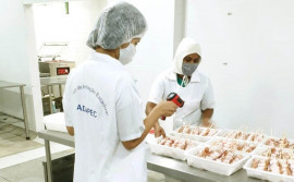 Tocantins regulamenta concessão de selo Arte para a comercialização de produtos artesanais de origem animal em todo o país