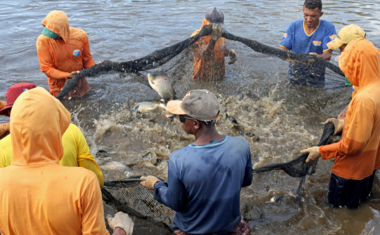 Pesquisadores visitaram 2,6 mil propriedades, identificando 1.099 piscicultura