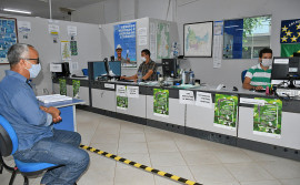 Governo do Tocantins estabelece cadastramento obrigatório de transportadores de animais e veículos