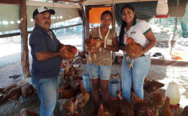 Com recursos de R$ 2,1 milhões, programa desenvolvido pelo Governo do Tocantins beneficia pequenos produtores rurais