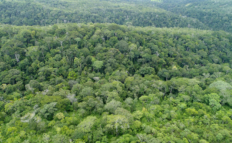 Plano  possui objetivos de realizar ações e metodologias de prevenção e monitoramento aos incêndios florestais