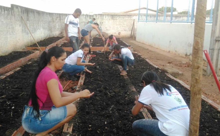 Alunos do Colégio Estadua José Porfirio durante projeto Escola na Horta (fotos Stefania Soares) (5).jpg