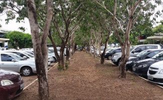 Vence hoje IPVA com desconto para placas com finais 7 e 8