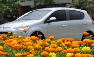  IPVA de veículos com finais de placas 9 e 0 vence dia 15