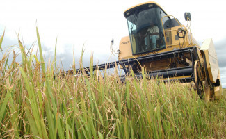 Tocantins atinge maior taxa de crescimento do Produto Interno Bruto do país