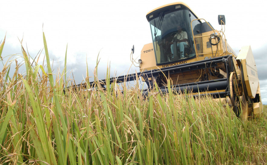Secom - Colheitra de arroz - 01 - Dueré - Fazenda Xavante - 26-03-04 - Foto - Secom (2).jpg