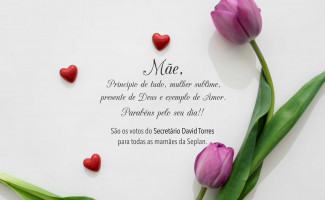 Secretário David Torres parabeniza todas as mães da Seplan