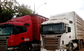 Fisco faz abordagens de carregamento de gado na Regional de Alvorada