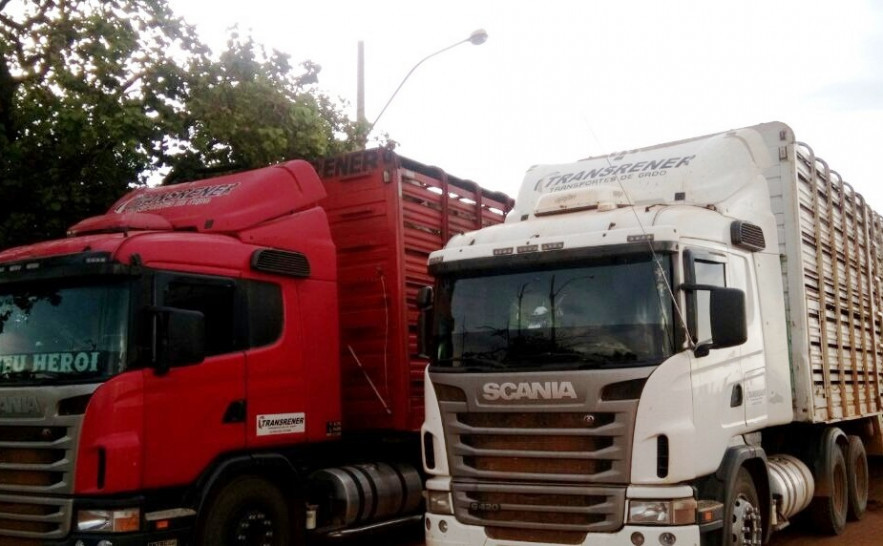 Carregamento de Gado