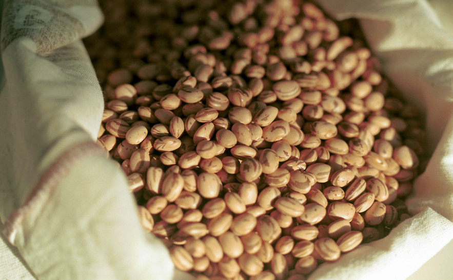 Grãos têm queda no varejo 