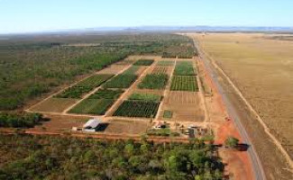 Estado atende MPF e inicia regularização de irrigação na área do Projeto São João 