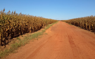 Consultas públicas para o Plano de Zoneamento ecológico-econômico do Tocantins acontecem a partir de 5 julho