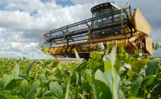 Pesquisa do IBGE aponta que o Tocantins foi o Estado que mais cresceu entre 2002 e 2016