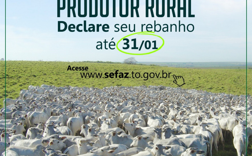 Declaração deve ser entregue até 31/01 