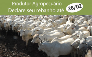 Prorrogado prazo para entrega do Resumo da Movimentação do Rebanho e Inventário de Gado