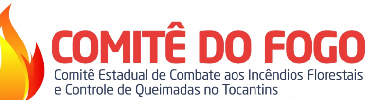 Comitê do Fogo 